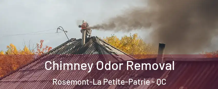  Chimney Odor Removal Rosemont-La Petite-Patrie - QC