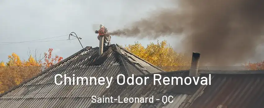  Chimney Odor Removal Saint-Leonard - QC