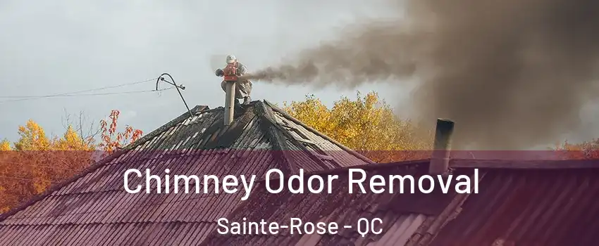  Chimney Odor Removal Sainte-Rose - QC