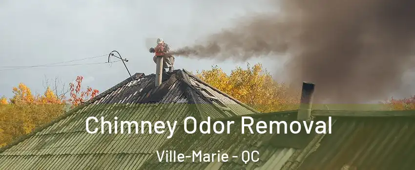  Chimney Odor Removal Ville-Marie - QC