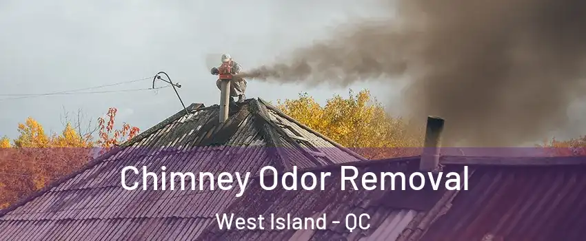  Chimney Odor Removal West Island - QC