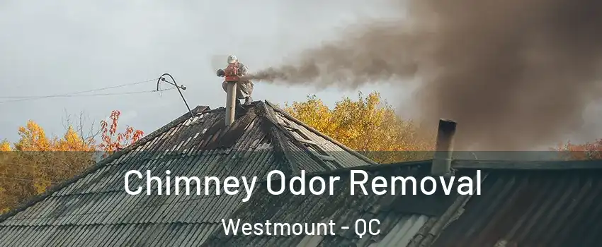  Chimney Odor Removal Westmount - QC