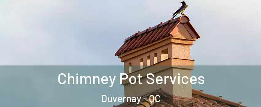  Chimney Pot Services Duvernay - QC