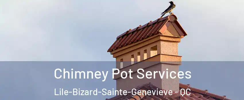  Chimney Pot Services Lile-Bizard-Sainte-Genevieve - QC