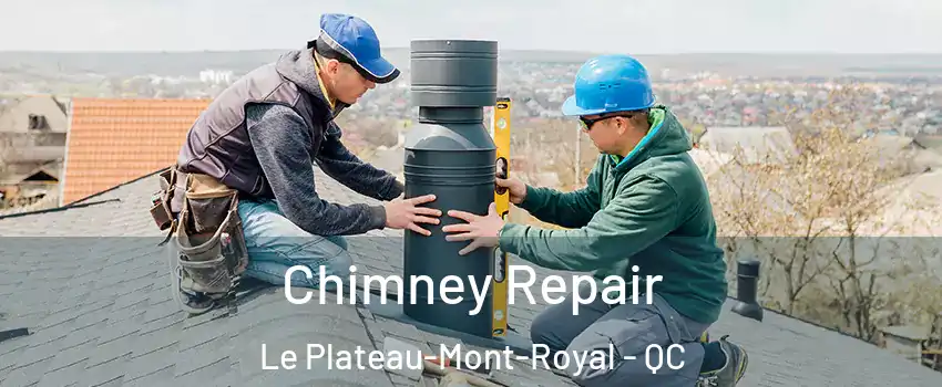  Chimney Repair Le Plateau-Mont-Royal - QC