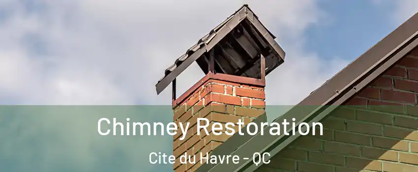  Chimney Restoration Cite du Havre - QC