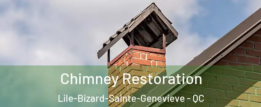  Chimney Restoration Lile-Bizard-Sainte-Genevieve - QC