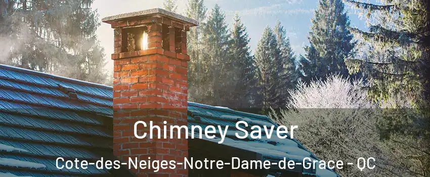  Chimney Saver Cote-des-Neiges-Notre-Dame-de-Grace - QC