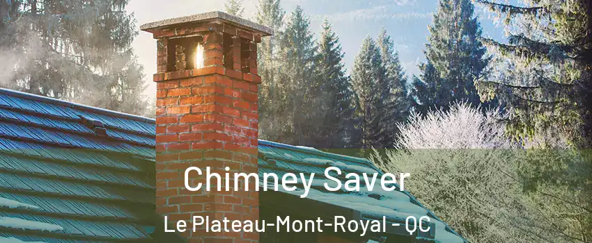  Chimney Saver Le Plateau-Mont-Royal - QC