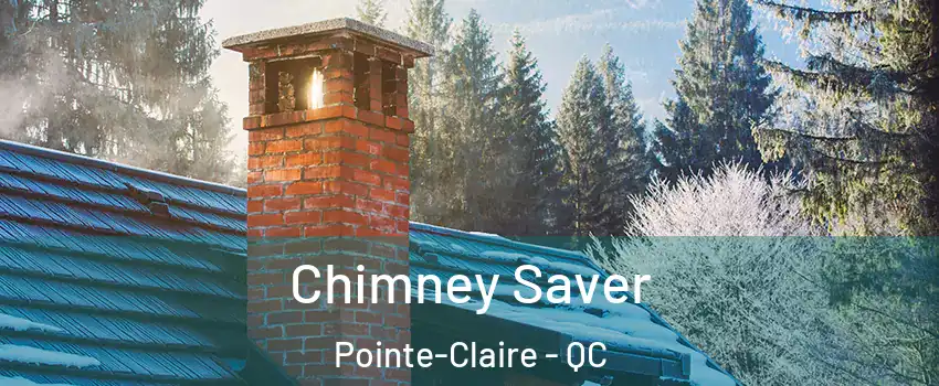  Chimney Saver Pointe-Claire - QC