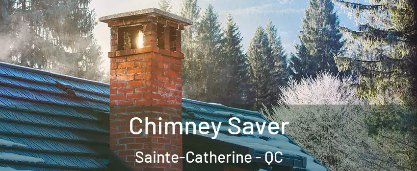  Chimney Saver Sainte-Catherine - QC