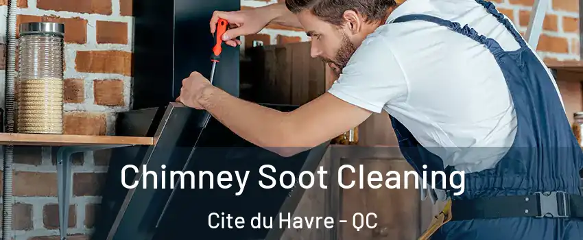  Chimney Soot Cleaning Cite du Havre - QC