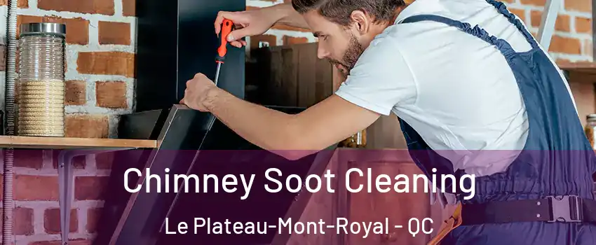  Chimney Soot Cleaning Le Plateau-Mont-Royal - QC