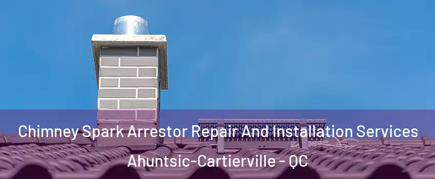  Chimney Spark Arrestor Repair And Installation Services Ahuntsic-Cartierville - QC