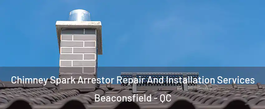 Chimney Spark Arrestor Repair And Installation Services Beaconsfield - QC