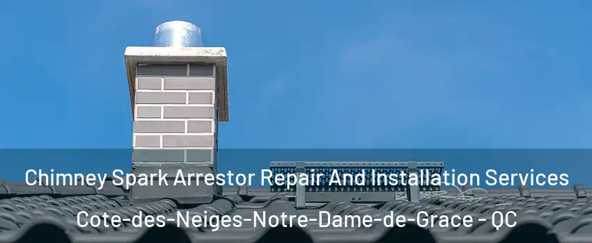  Chimney Spark Arrestor Repair And Installation Services Cote-des-Neiges-Notre-Dame-de-Grace - QC