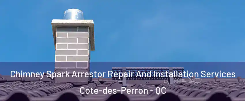 Chimney Spark Arrestor Repair And Installation Services Cote-des-Perron - QC