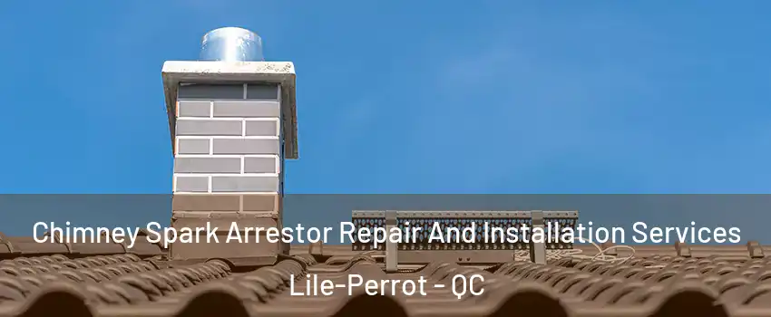  Chimney Spark Arrestor Repair And Installation Services Lile-Perrot - QC