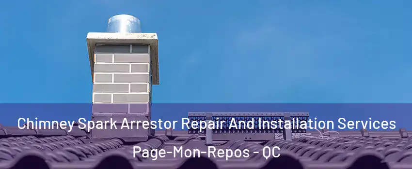  Chimney Spark Arrestor Repair And Installation Services Page-Mon-Repos - QC