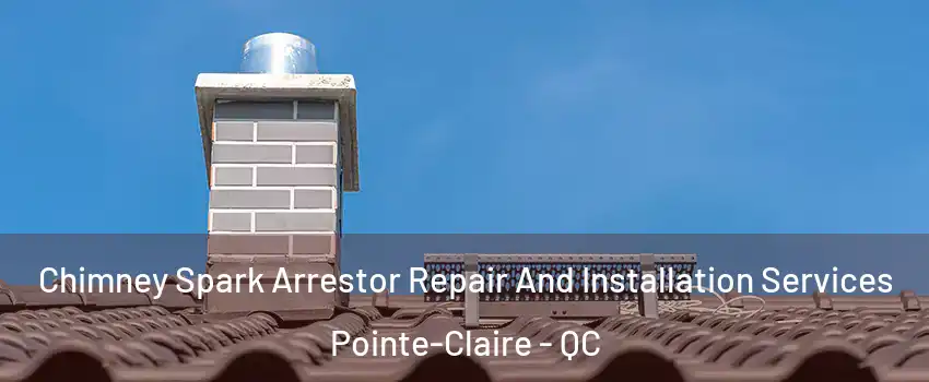  Chimney Spark Arrestor Repair And Installation Services Pointe-Claire - QC