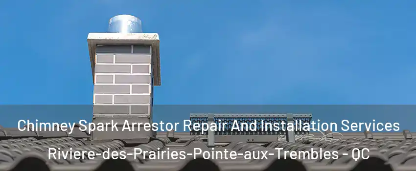  Chimney Spark Arrestor Repair And Installation Services Riviere-des-Prairies-Pointe-aux-Trembles - QC