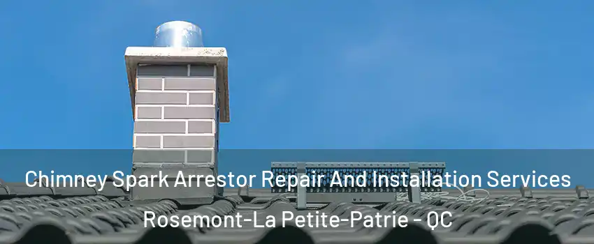  Chimney Spark Arrestor Repair And Installation Services Rosemont-La Petite-Patrie - QC