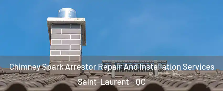 Chimney Spark Arrestor Repair And Installation Services Saint-Laurent - QC