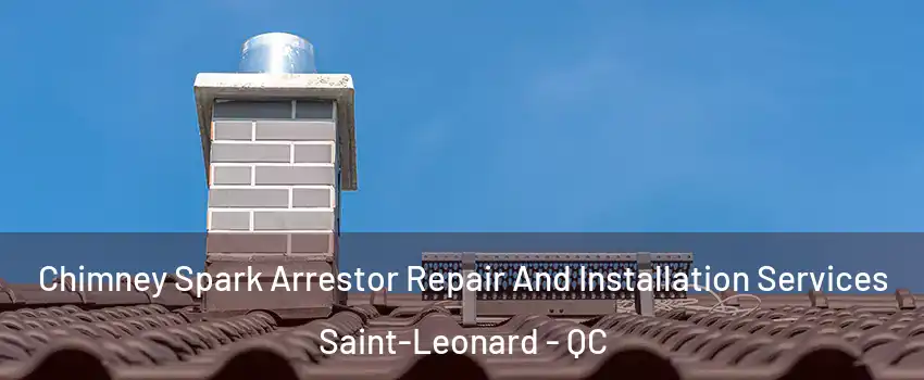  Chimney Spark Arrestor Repair And Installation Services Saint-Leonard - QC