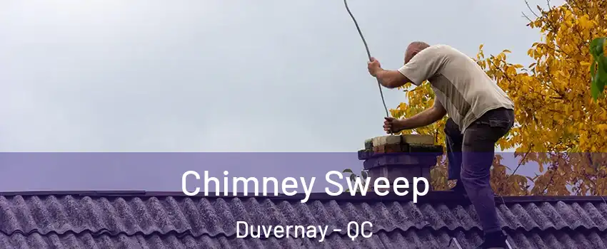  Chimney Sweep Duvernay - QC