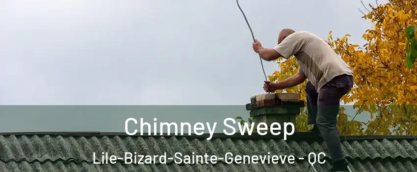  Chimney Sweep Lile-Bizard-Sainte-Genevieve - QC
