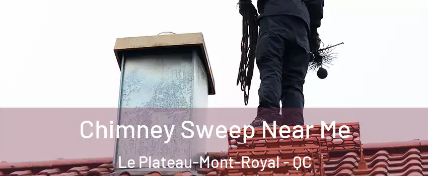  Chimney Sweep Near Me Le Plateau-Mont-Royal - QC