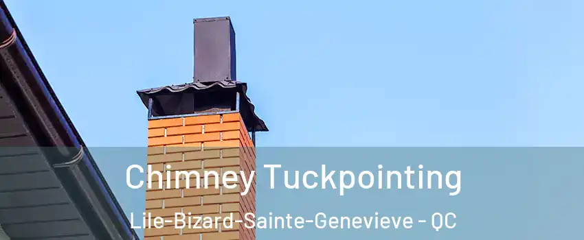  Chimney Tuckpointing Lile-Bizard-Sainte-Genevieve - QC