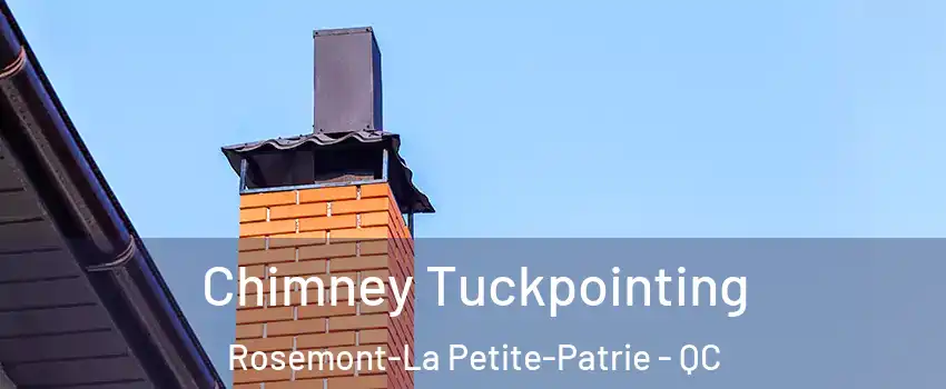  Chimney Tuckpointing Rosemont-La Petite-Patrie - QC