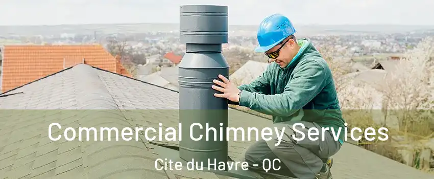  Commercial Chimney Services Cite du Havre - QC
