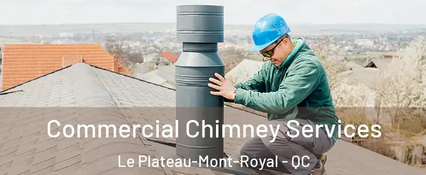  Commercial Chimney Services Le Plateau-Mont-Royal - QC