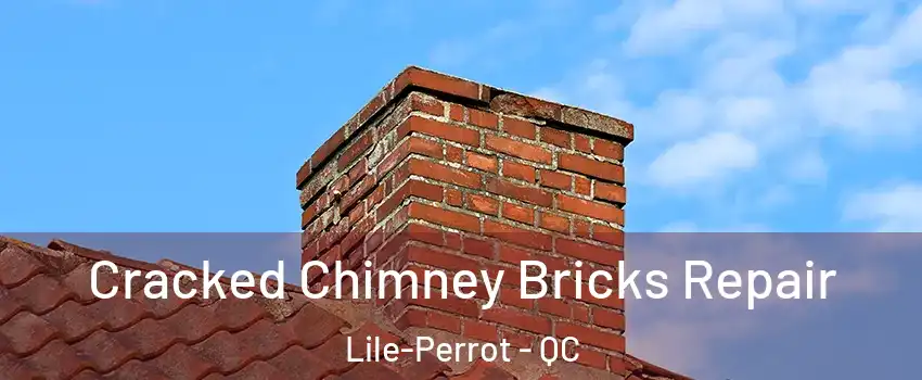  Cracked Chimney Bricks Repair Lile-Perrot - QC