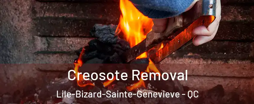  Creosote Removal Lile-Bizard-Sainte-Genevieve - QC