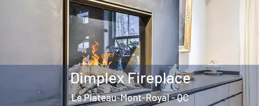  Dimplex Fireplace Le Plateau-Mont-Royal - QC