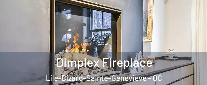  Dimplex Fireplace Lile-Bizard-Sainte-Genevieve - QC