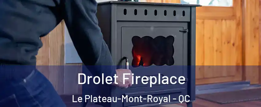  Drolet Fireplace Le Plateau-Mont-Royal - QC