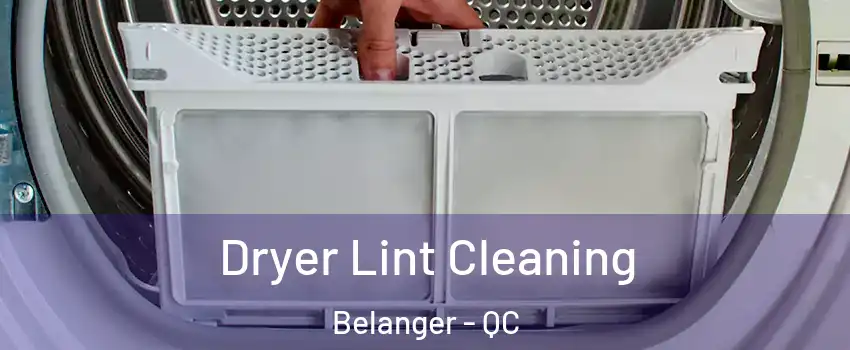  Dryer Lint Cleaning Belanger - QC