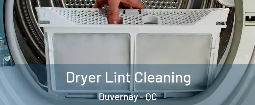  Dryer Lint Cleaning Duvernay - QC