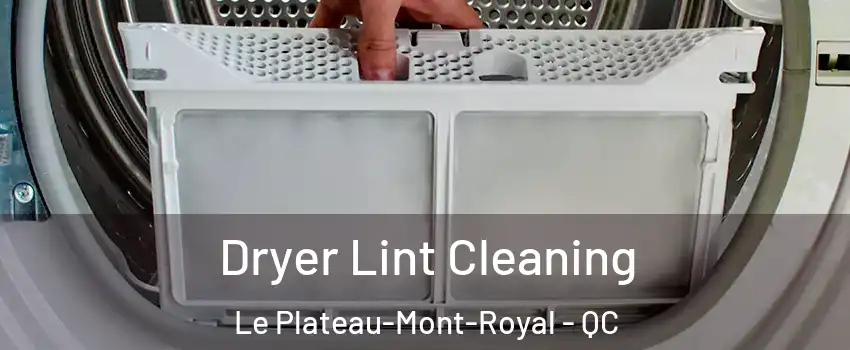  Dryer Lint Cleaning Le Plateau-Mont-Royal - QC