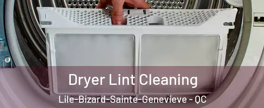  Dryer Lint Cleaning Lile-Bizard-Sainte-Genevieve - QC
