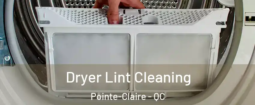  Dryer Lint Cleaning Pointe-Claire - QC