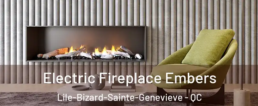  Electric Fireplace Embers Lile-Bizard-Sainte-Genevieve - QC