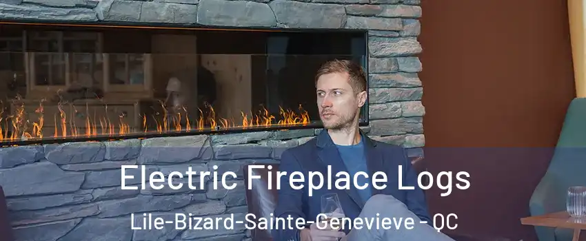 Electric Fireplace Logs Lile-Bizard-Sainte-Genevieve - QC