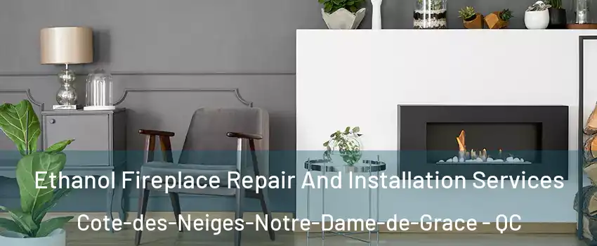  Ethanol Fireplace Repair And Installation Services Cote-des-Neiges-Notre-Dame-de-Grace - QC