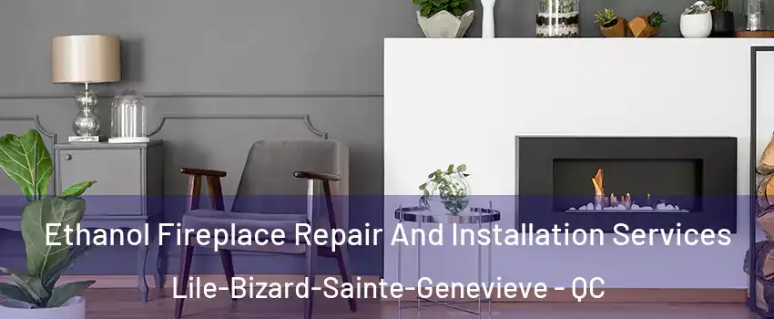  Ethanol Fireplace Repair And Installation Services Lile-Bizard-Sainte-Genevieve - QC