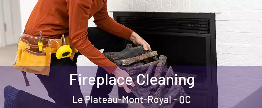  Fireplace Cleaning Le Plateau-Mont-Royal - QC